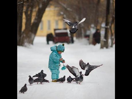 Divers - De belles images - 1