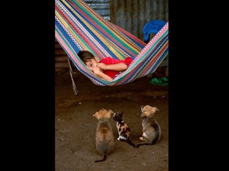 Divers - De belles images - 1