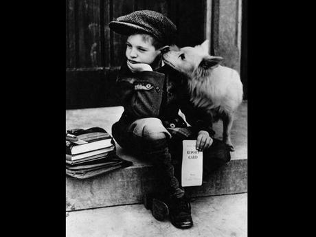 Divers - De belles images - 1