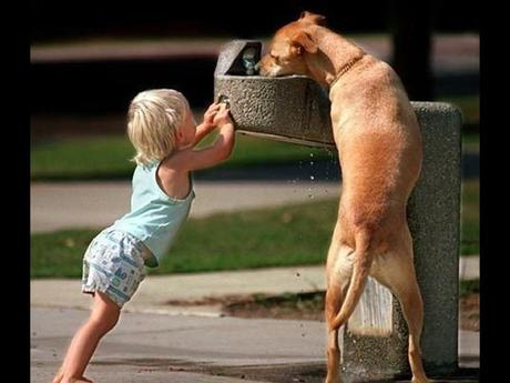 Divers - De belles images - 1