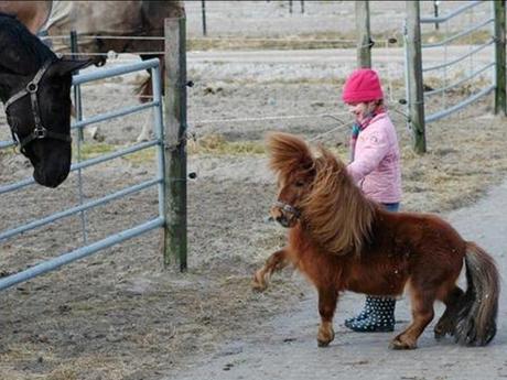 Divers - De belles images - 1