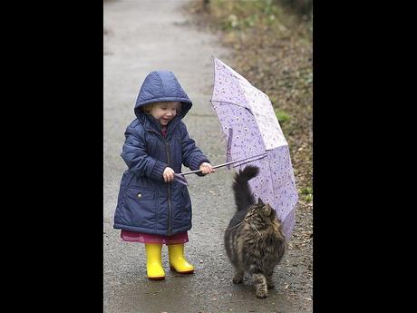 Divers - De belles images - 1