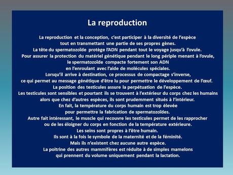 Divers - Le corps humain