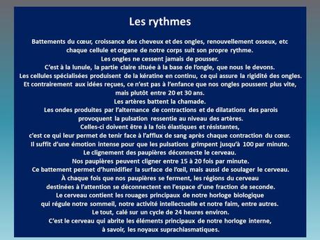 Divers - Le corps humain