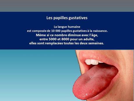 Divers - Le corps humain