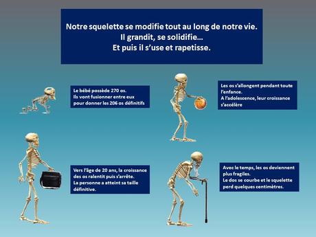 Divers - Le corps humain