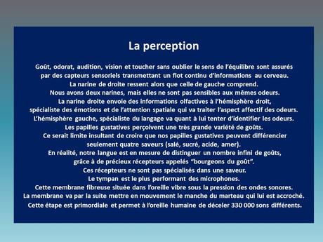 Divers - Le corps humain