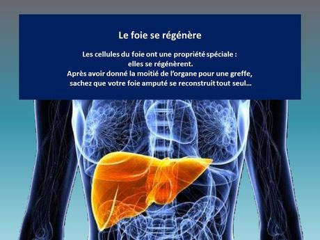 Divers - Le corps humain