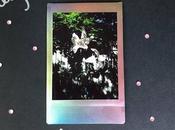 Album Lilly Hiatt Lately