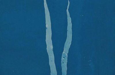 Cyanotype