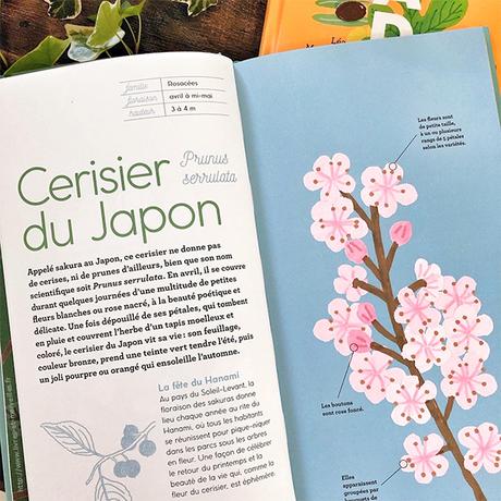 Albums documentaires jeunesse : Fleurs de saison & Arbres d'ici et d'ailleurs