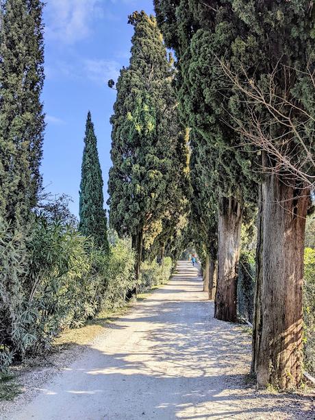 Garda & Punta San Vigilio — 25 pics