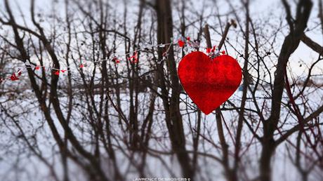 Décorations au Parc Manicouagan pour la Saint-Valentin… #SaintValentin