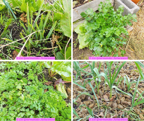 Haricots d'Espagne à l'espagnole (Vegan) Haricots d'Espagne à l'espagnole (Vegan)