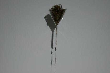 Fécondité et mémoire des larmes et poussières Fécondité et mémoire des larmes et poussières