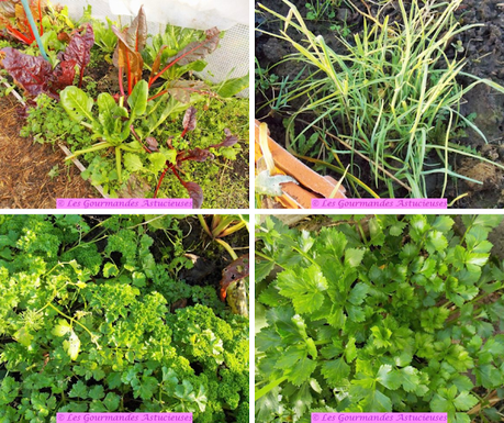 Sauce gourmande à la courge (Vegan) Sauce gourmande à la courge (Vegan)