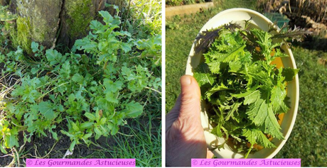 Sauce gourmande à la courge (Vegan) Sauce gourmande à la courge (Vegan)
