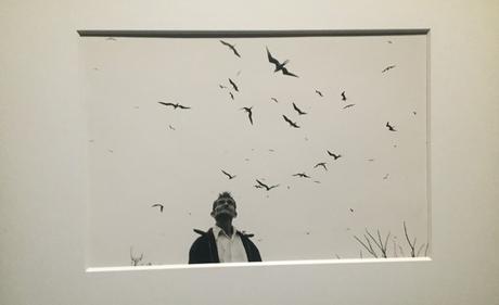 Fondation Cartier « Graciela Iturbide Heliotropo 37 »  12 Février au 29 Mai 2022.