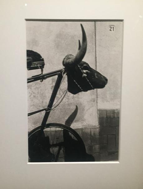 Fondation Cartier « Graciela Iturbide Heliotropo 37 »  12 Février au 29 Mai 2022.