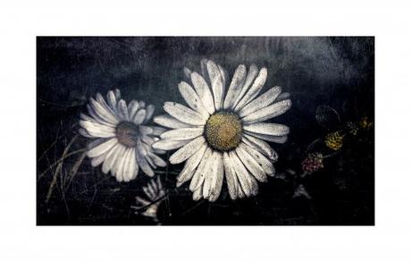 Fragments de nuit, inutiles et mal écrits (saison 5 - Le Chippendale) - Fragment 16-17-18