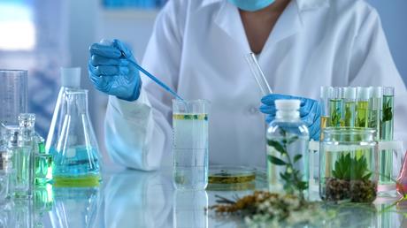 Un puissant anticancéreux ou plutôt sa recette vient d'être découverte dans des plantes courantes dont le thym et l'origan (Visuel adobe Stock 233950180) Un puissant anticancéreux ou plutôt sa recette vient d'être découverte dans des plantes courantes dont le thym et l'origan (Visuel adobe Stock 233950180)