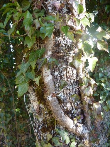 carnet,note,journal,chronique,idée,humeur,société,environnement,climat,politique,santé,blog littéraire de christian cottet-emard,élection,présidentielle 2022,conformisme,bons sentiments,grandes causes,opinion,politique,pétitions,droits de l'homme,occident,christian cottet-emard,liberté,démocratie,planète,terre,nature,ressources,humanité,révolution industrielle,mondialisation,colibri,hubris