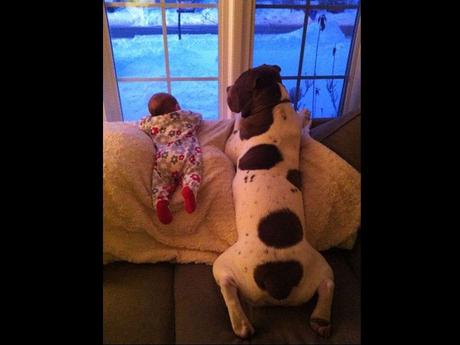 Divers - de belles images - 3