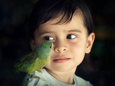 Divers - de belles images - 3