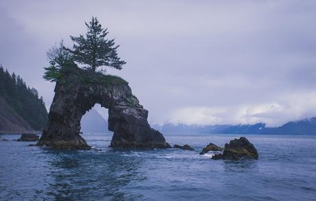 [Alaska] Les fjords de Kenai