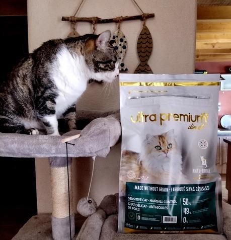 Mes chats ont testé les croquettes sans céréales Ultra Premium Direct : Leur avis 😺