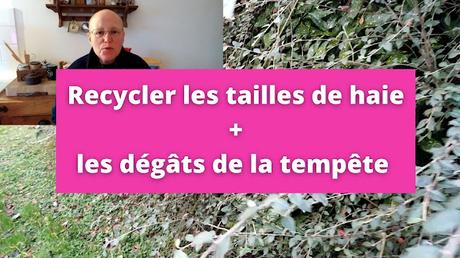 Comment recycler les déchets de taille de haie ? (vidéo) Comment recycler les déchets de taille de haie ? (vidéo)