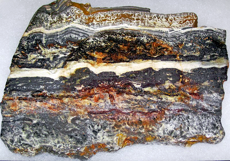 Fossiles de Stromatolithes