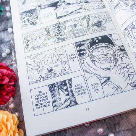 Four knights of the apocalypse, tome 1 et 2 • Nakaba Suzuki