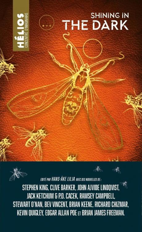 Shining in the dark Shining in the dark