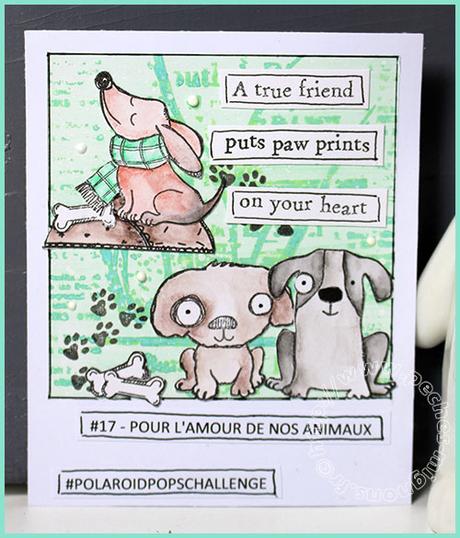 Polaroid pops challenge – Day 17 : pour l’amour de nos animaux