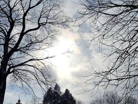 { Presque un } Thali composé de dahl avec pommes de terre et chou fleur, de chou, et de tofu