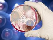 DIVERTICULITE antibiotiques sont plus automatiques