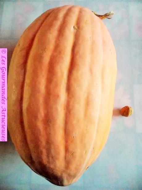 Comment dompter une courge géante ?