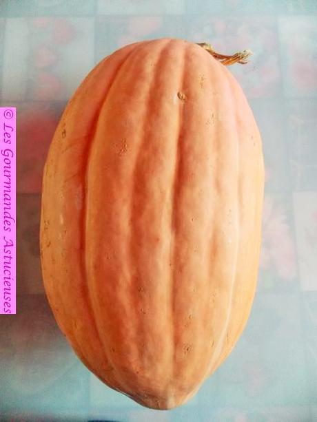 Comment dompter une courge géante ?