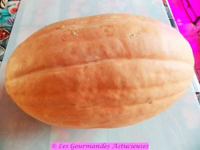 Comment dompter une courge géante ?