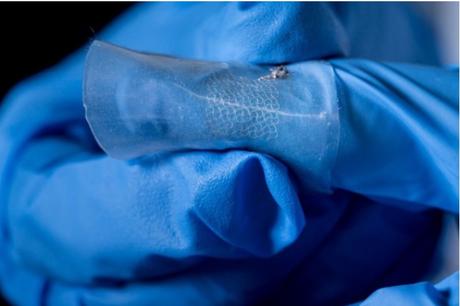 Avec le développement de capteurs de nouvelle génération, portables sous forme de patch par exemple, imprimés en 3D et à faible coût, il devient possible d’analyser les nombreux métabolites présents dans la sueur (Visuel Simon Fraser University) Avec le développement de capteurs de nouvelle génération, portables sous forme de patch par exemple, imprimés en 3D et à faible coût, il devient possible d’analyser les nombreux métabolites présents dans la sueur (Visuel Simon Fraser University)