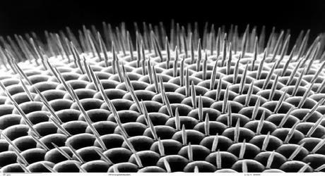 UN MONDE PARFAIT – Daniel Guimond UN MONDE PARFAIT – Daniel Guimond