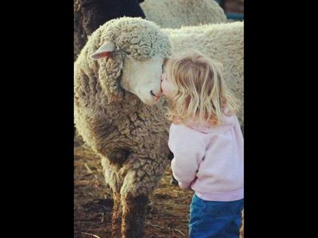 Divers - de belles images - 4