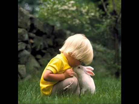 Divers - de belles images - 4