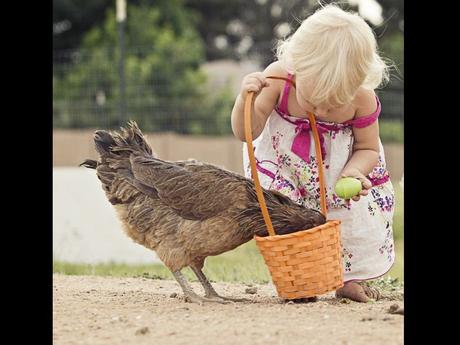 Divers - de belles images - 4