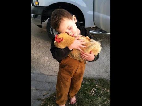 Divers - de belles images - 4