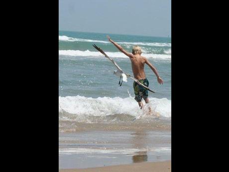 Divers - de belles images - 4