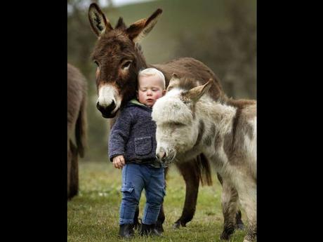 Divers - de belles images - 4