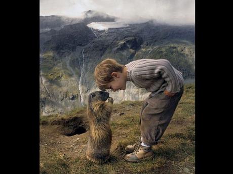 Divers - de belles images - 4