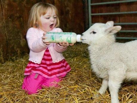 Divers - de belles images - 4